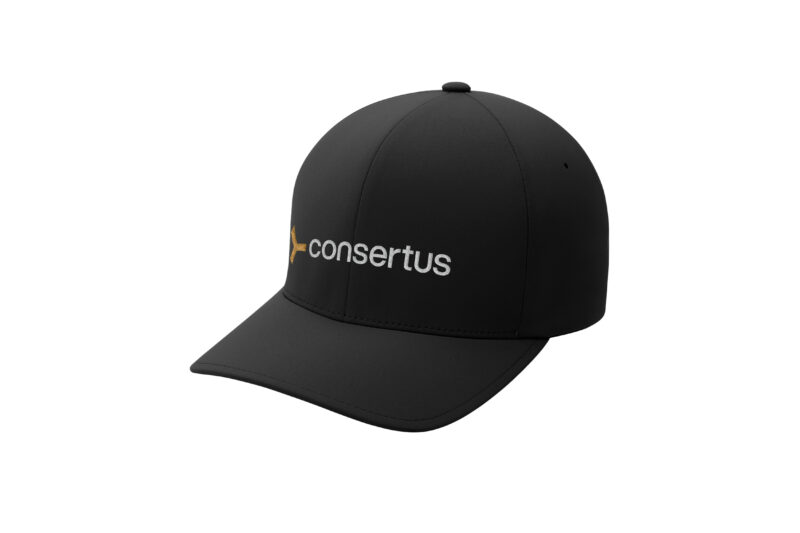 Consertus | Flexfit - Delta® Cap - Image 2