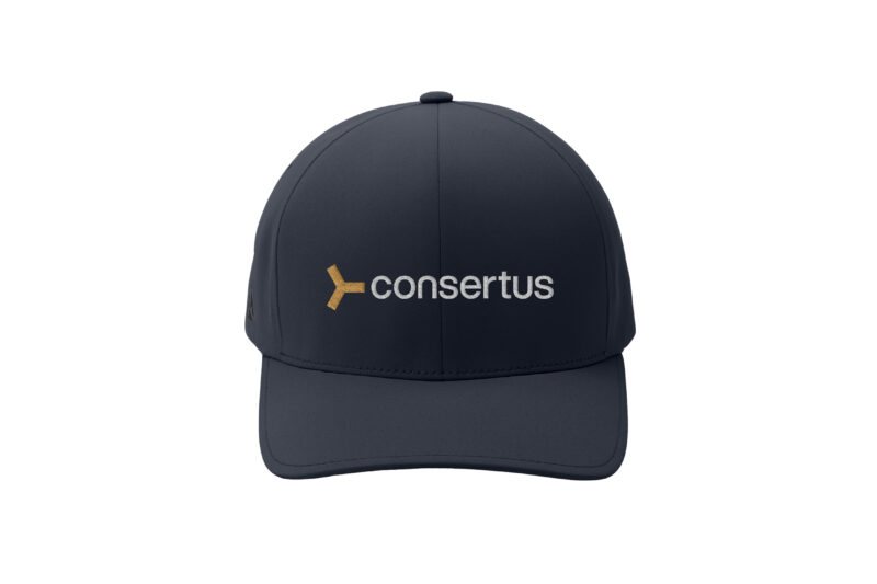 Consertus | Flexfit - Delta® Cap - Image 3